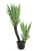 EUROPALMS<br>Orchideen-Kaktus, Kunstpflanze, 160cm<br>Artikel-Nr: 82809035