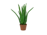 EUROPALMS<br>Aloe-Vera-Pflanze, Kunstpflanze, 63cm<br>Artikel-Nr: 82809112