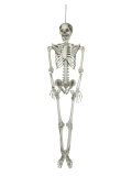 EUROPALMS<br>Halloween Skelett, 150 cm