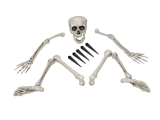 EUROPALMS<br>Halloween Skelett, mehrteilig