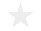 EUROPALMS<br>Silhouette Stern, weiß, 58cm
