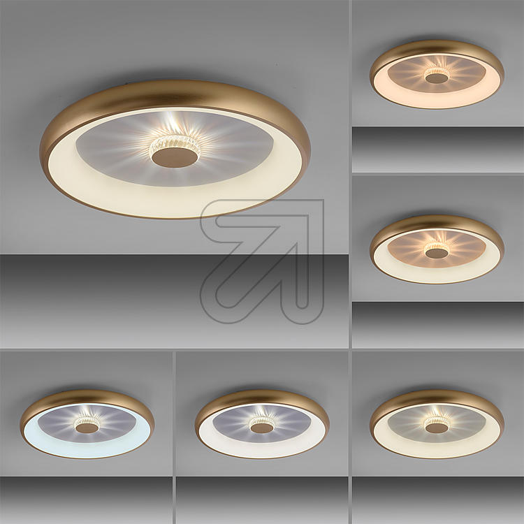 Leuchtendirekt GmbH Artikel-Nr: 14386-60 messing-matt 2700K-5000K 642765 40W Vertigo CCT-LED-Deckenleuchte