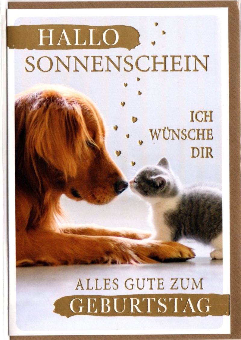Verlag DominiqueKarte Geburtstag Motiv Hallo Sonnenschein HundArtikel-Nr: 4004703061357