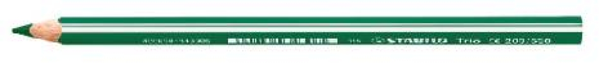 StabiloColored pencil triangular green 203530-Price for 12 pcs.Article-No: 4006381344043
