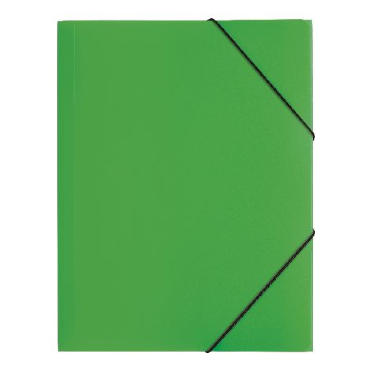 PagnaElastic folder A4 Lucy Basic PP green 21613-05Article-No: 4009212048813