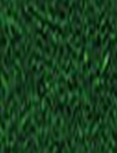FoliaHandicraft felt 20x30cm 58 fir green 520458E-Price for 10 pcs.Article-No: 4001868093735
