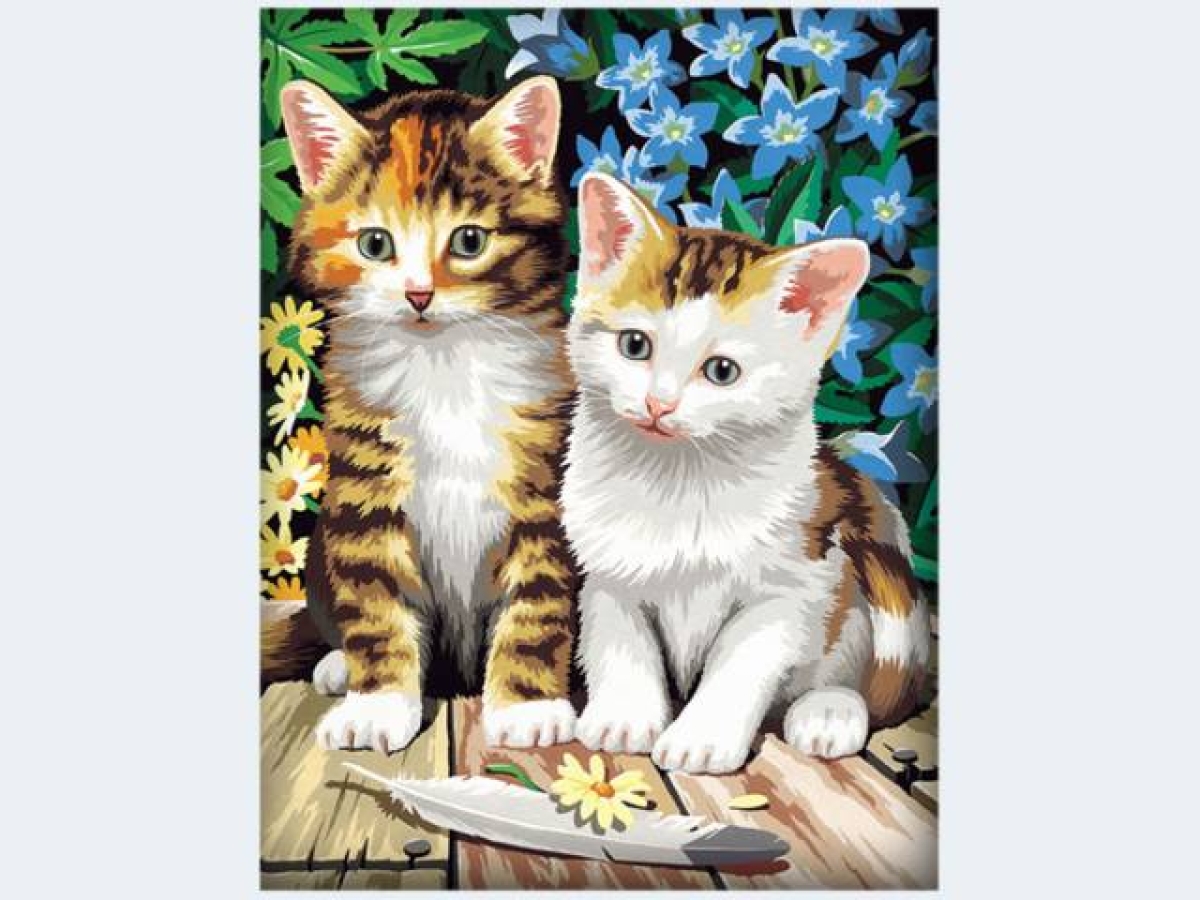 MammutMnZ Two kittens 23x30cm 12 colors/brush 10163Article-No: 4029059101632