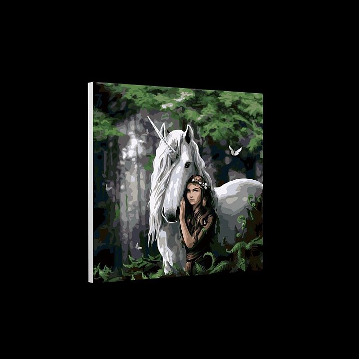 Crystal ArtPainting by numbers Forest Maiden 50x50cmArticle-No: 5055865495930