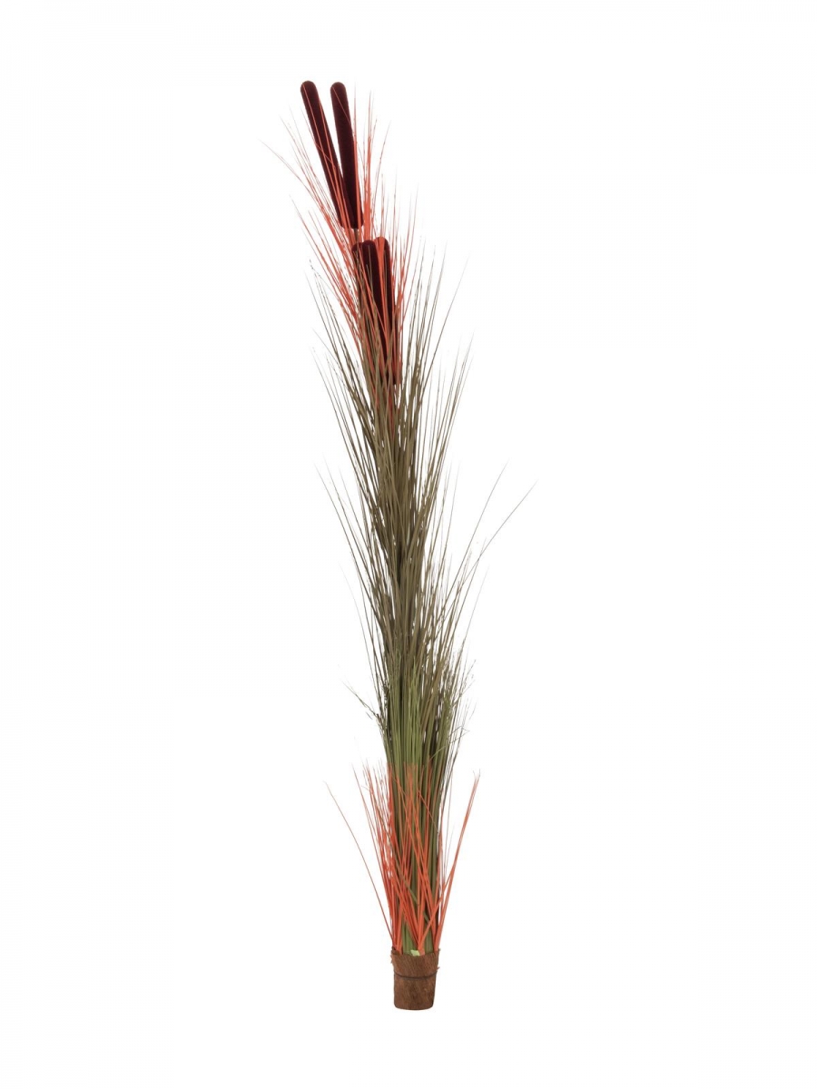 EUROPALMSReed grass with cattails, light-brown, artificial, 152cm