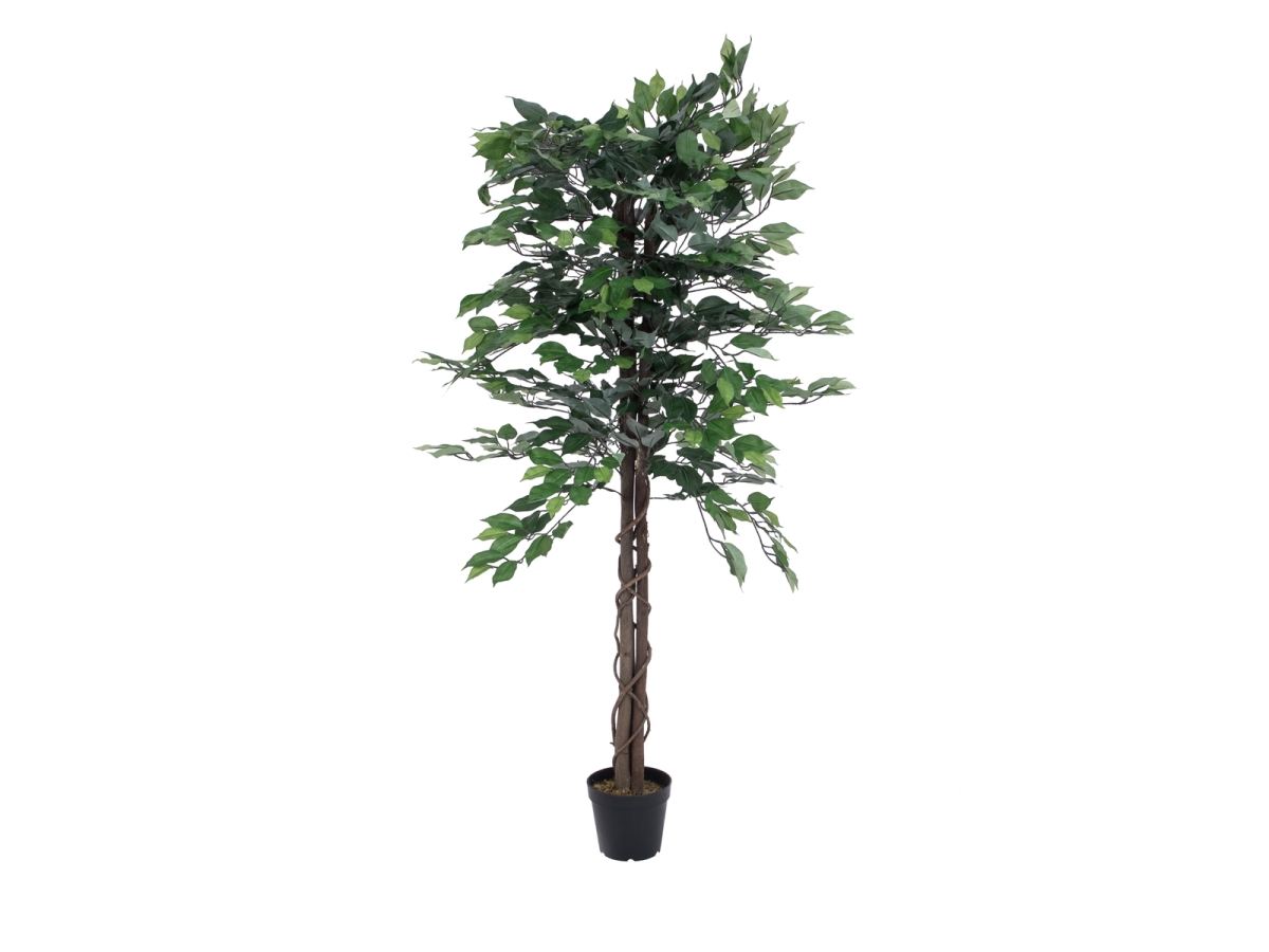 EUROPALMSFicus Tree Multi Trunk, artificial plant, 150cmArticle-No: 82506125