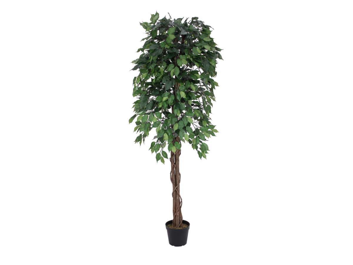EUROPALMSFicus Tree Multi-Trunk, artificial plant, 180cmArticle-No: 82506126