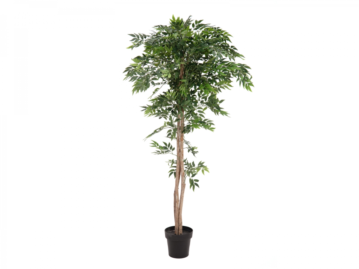 EUROPALMSFicus Longifolia, Kunstpflanze, 165cmArtikel-Nr: 82506350