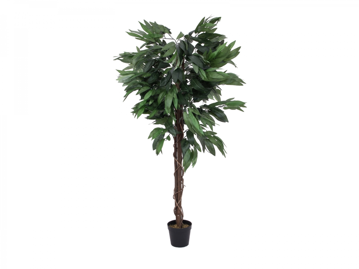 EUROPALMSDschungelbaum Mango, Kunstpflanze, 150cmArtikel-Nr: 82506725