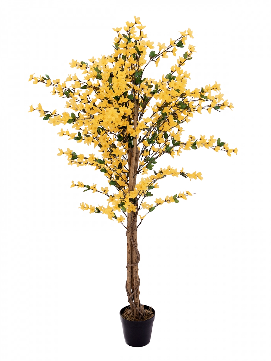 EUROPALMSForsythia tree with 3 trunks, artificial plant, yellow, 150cm