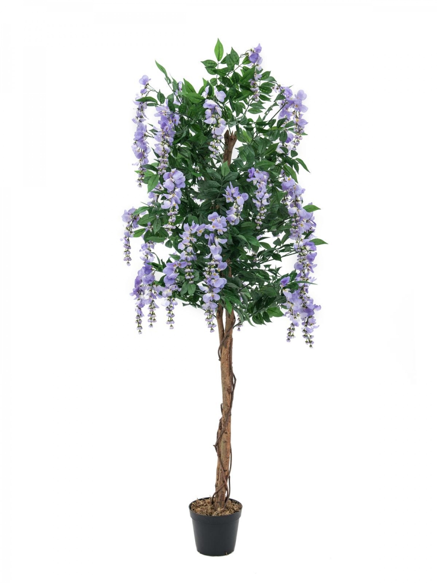 EUROPALMSGoldregenbaum, Kunstpflanze, violett, 180cmArtikel-Nr: 82507136