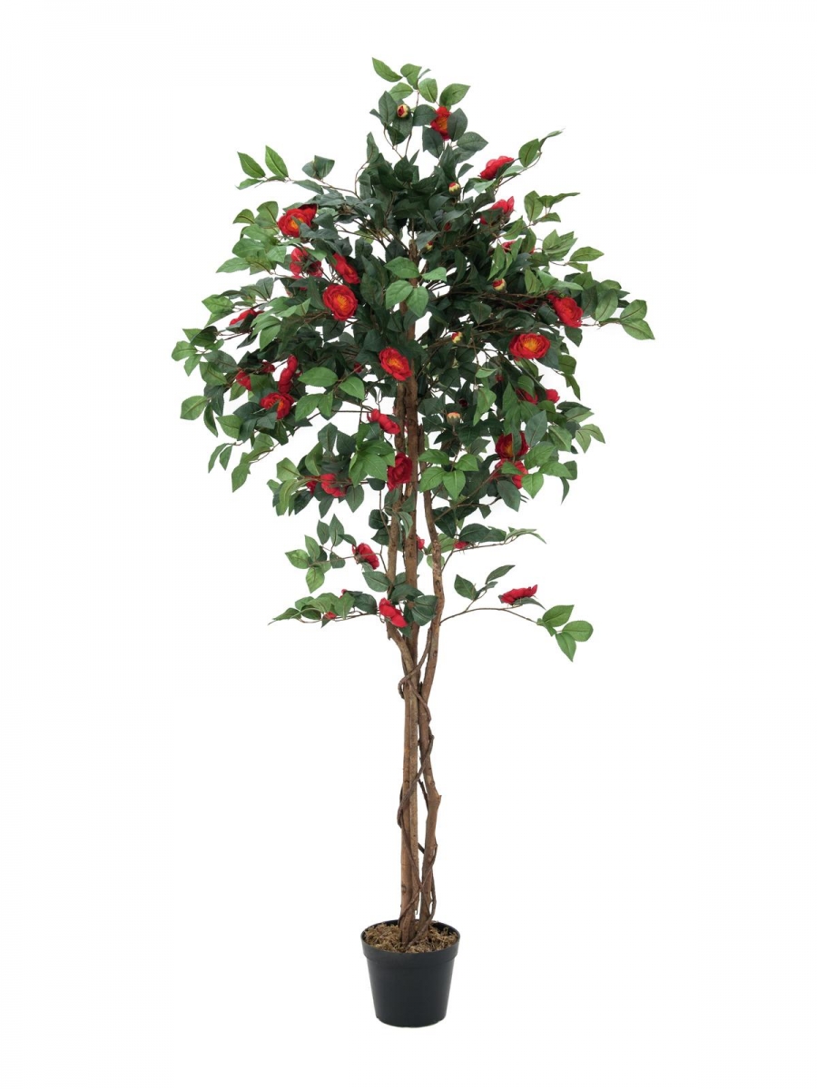 EUROPALMSKamelienbaum rot mit Topf, Kunstpflanze, 180cmArtikel-Nr: 82507226