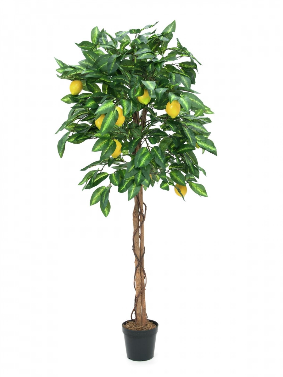 EUROPALMSZitronenbaum, Kunstpflanze, 150cmArtikel-Nr: 82507815