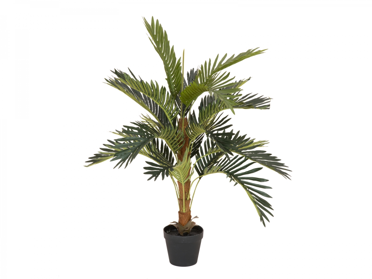 EUROPALMSCoconut palm, artificial plant, 90cm