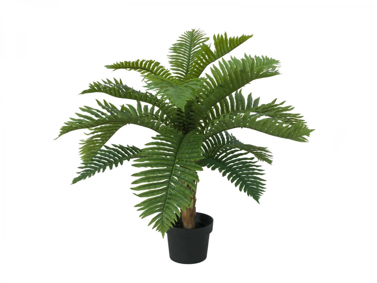 EUROPALMSCycas palm tree, artificial plant, 70cm