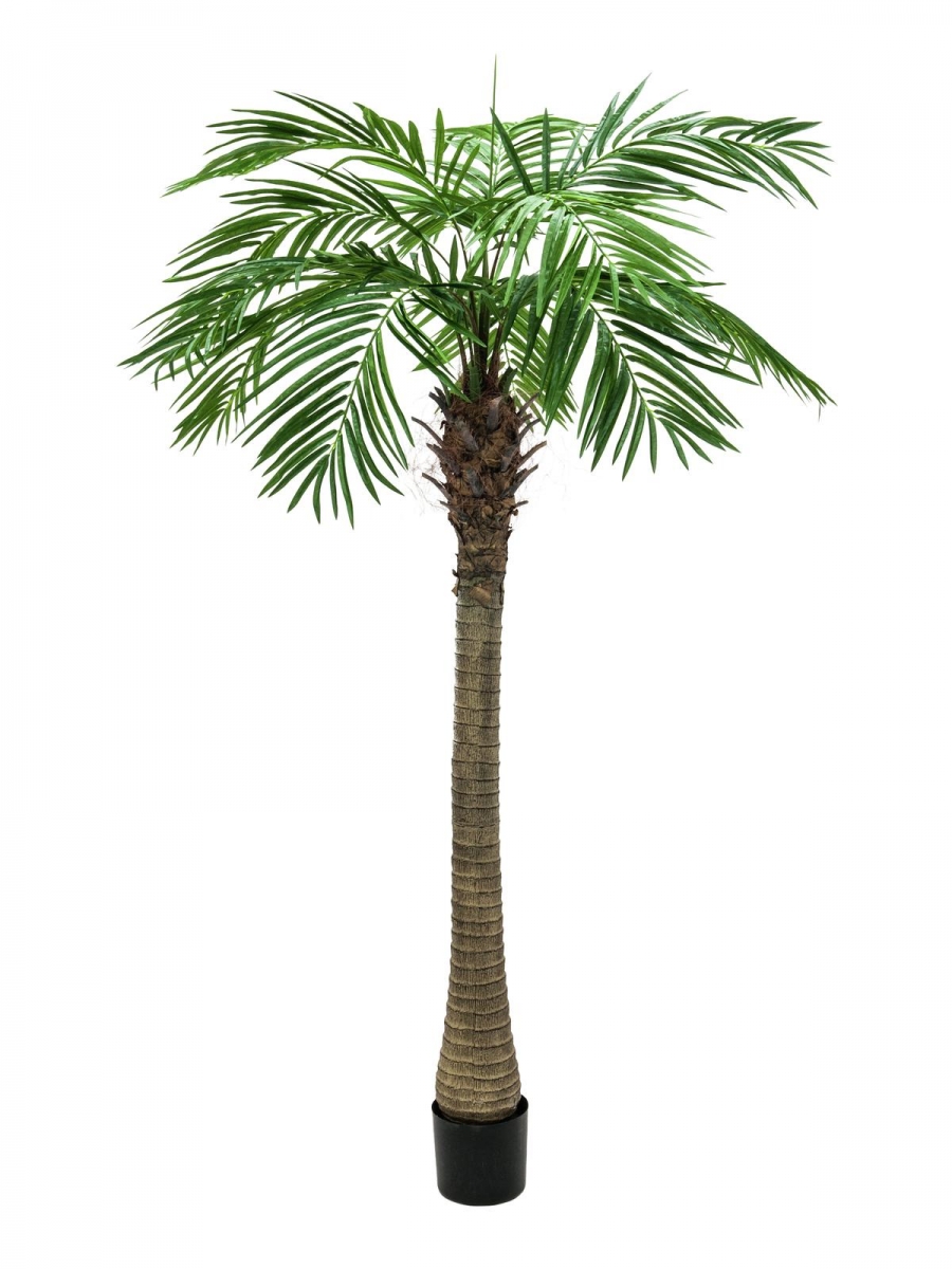 EUROPALMSPhoenix palm tree luxor, artificial plant, 240cm