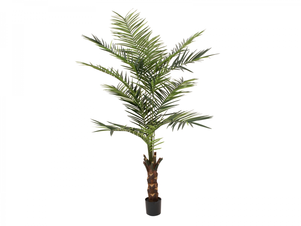 EUROPALMSKentia palm tree, artificial plant, 240cm