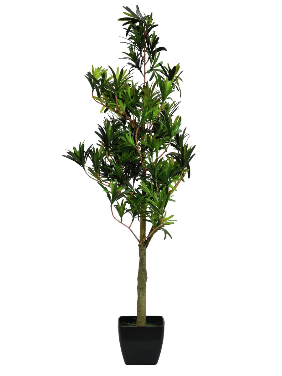 EUROPALMSPodocarpus tree, artificial plant, 90cmArticle-No: 82511520