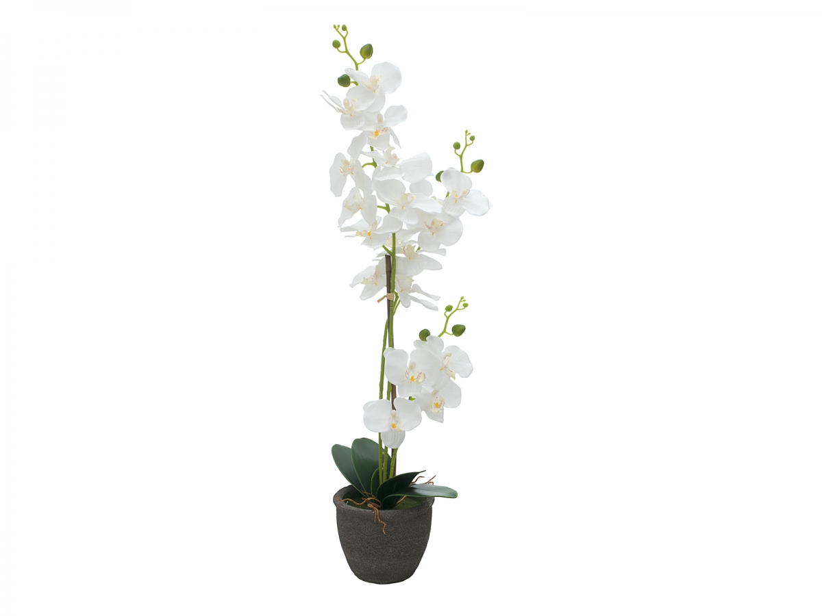 EUROPALMSOrchid, artificial plant, white, 80cm