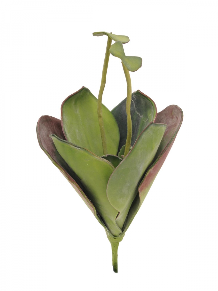 EUROPALMSWater Lily (EVA),artificial plant, closed, green, 45cm