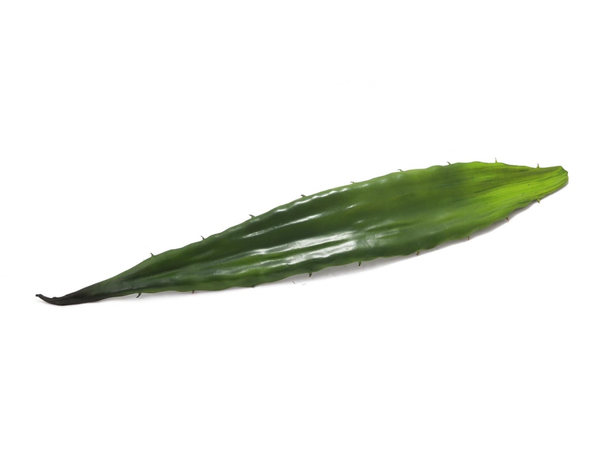 EUROPALMSAloe leaf (EVA), artificial, green, 60cm