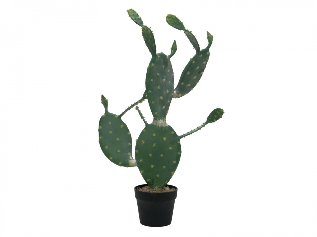 EUROPALMSNopal cactus, artificial plant, 76cmArticle-No: 82600064