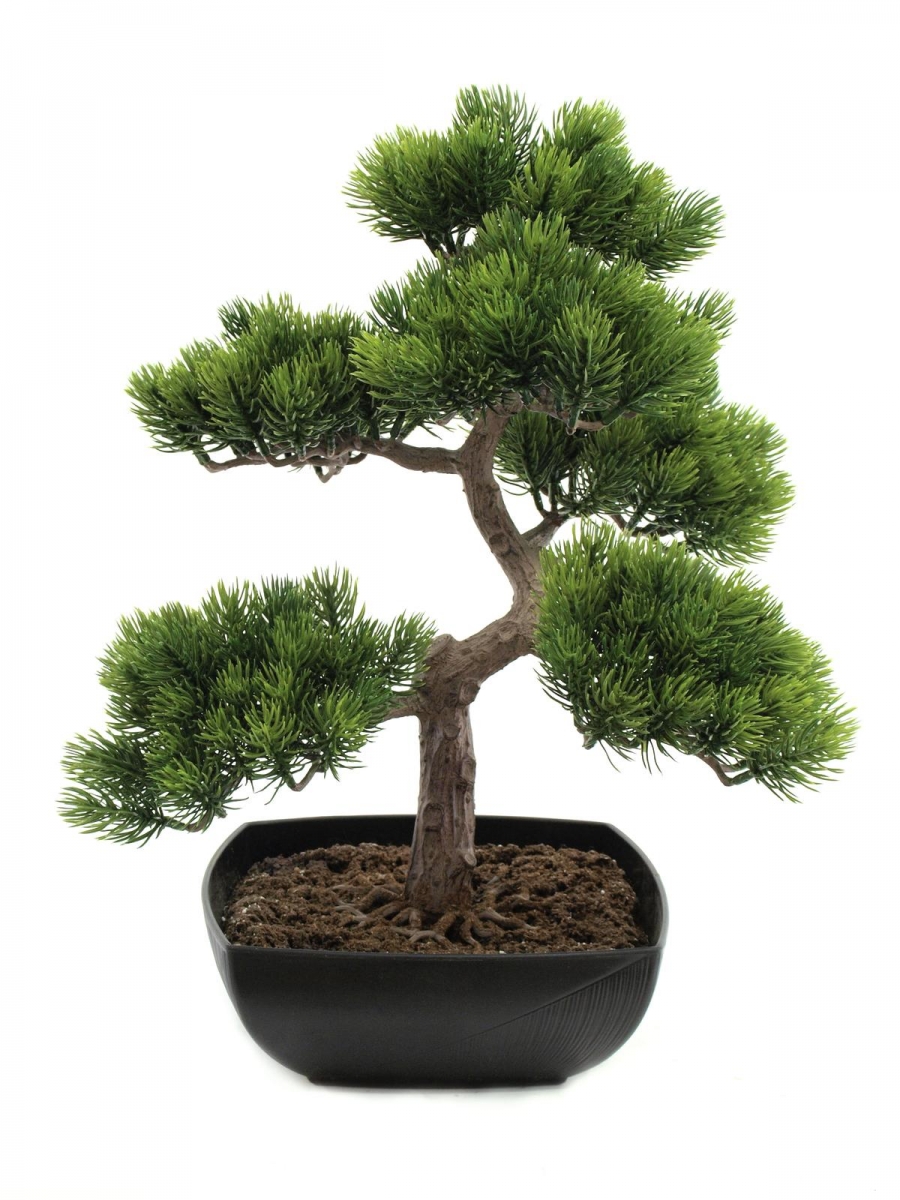EUROPALMSPine bonsai, artificial plant, 50cmArticle-No: 82600110