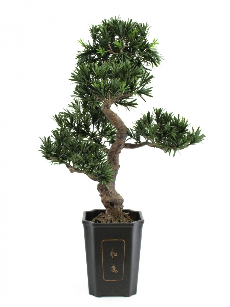 EUROPALMSBonsai Podocarpus, Kunstpflanze, 80cmArtikel-Nr: 82600116