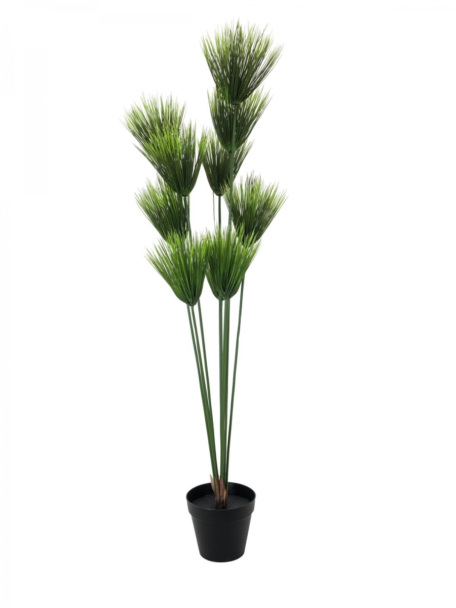 EUROPALMSPapyrus plant, artificial, 150cm