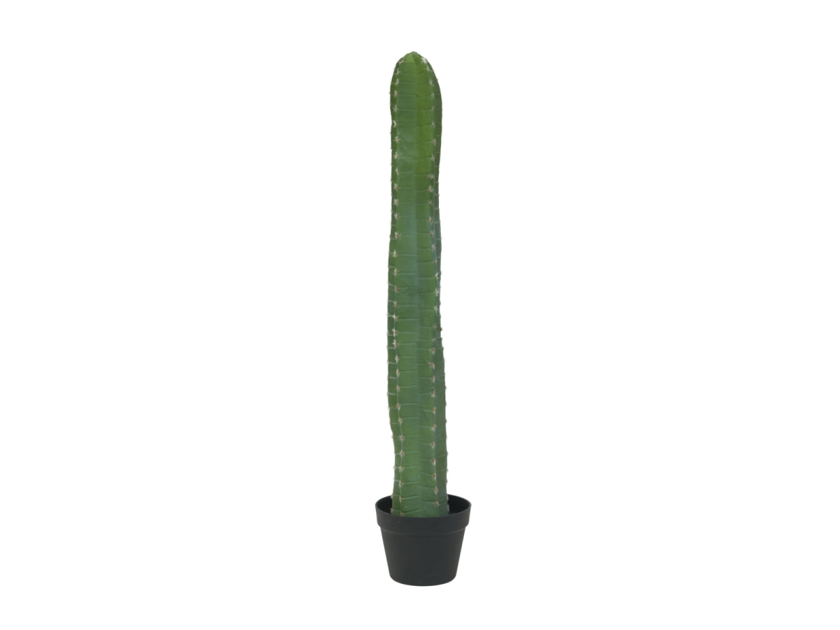 EUROPALMSMexican cactus, artificial plant, green, 97cmArticle-No: 82801070