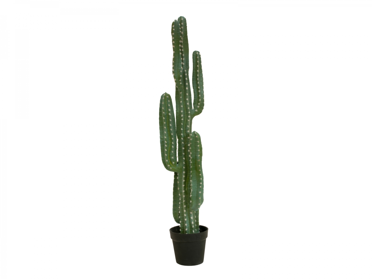 EUROPALMSMexikanischer Kaktus, Kunstpflanze, grün, 123cmArtikel-Nr: 82801072