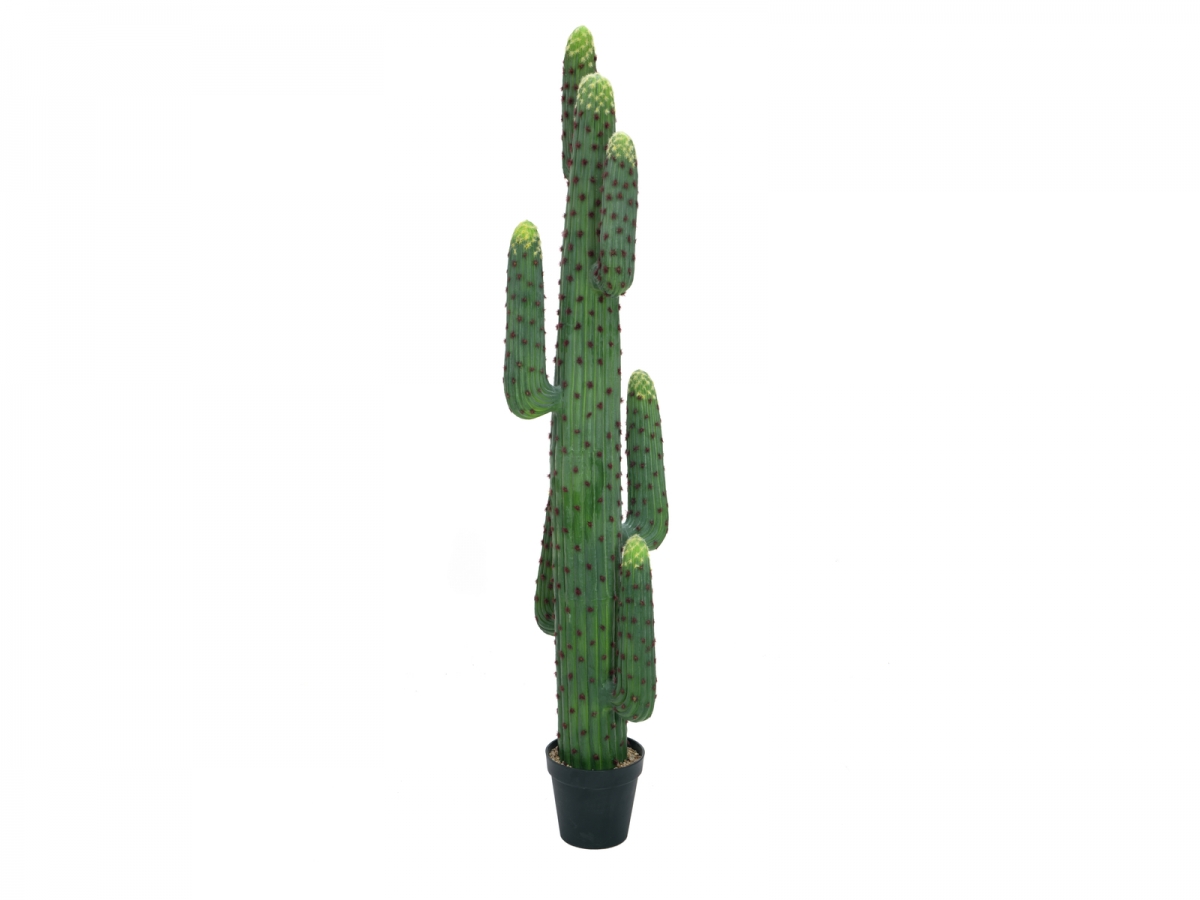 EUROPALMSMexikanischer Kaktus, Kunstpflanze, grün, 173cmArtikel-Nr: 82801073