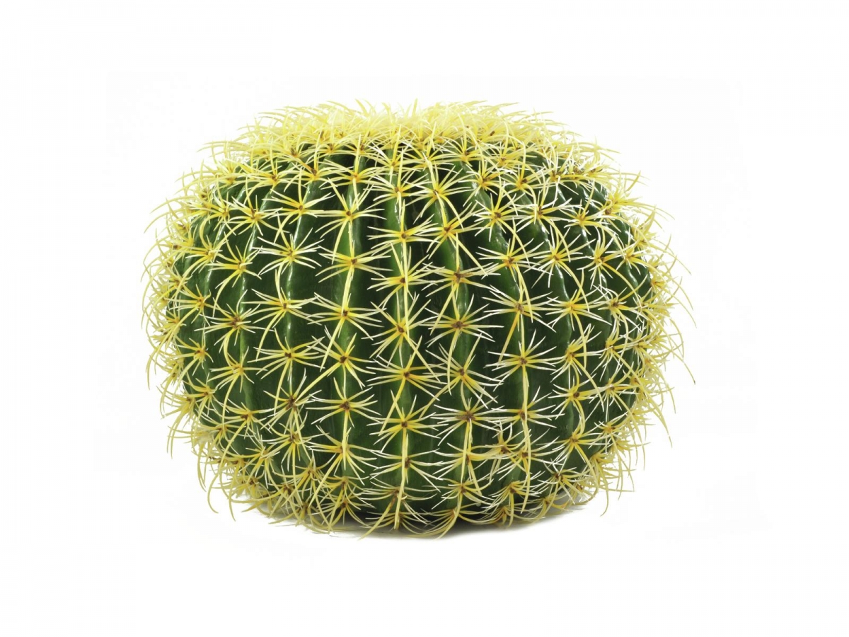 EUROPALMSBarrel Cactus, artificial plant, green, 37cm