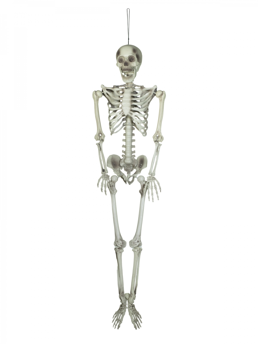 EUROPALMSHalloween Skelett, 150 cm