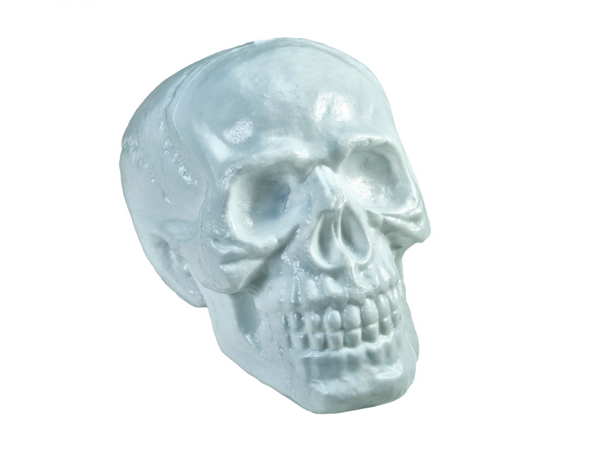 EUROPALMSHalloween Skull, 31x22x22cm