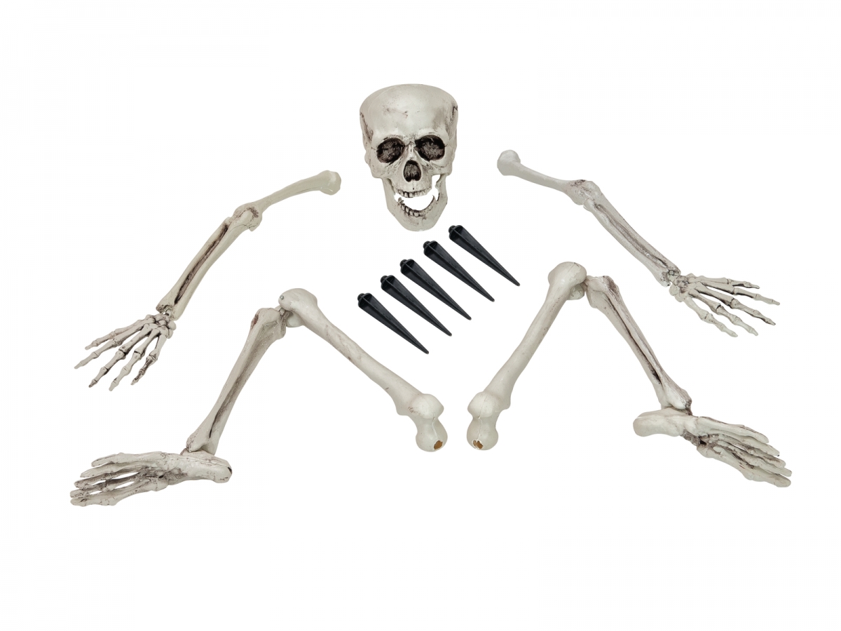 EUROPALMSHalloween Skelett, mehrteilig