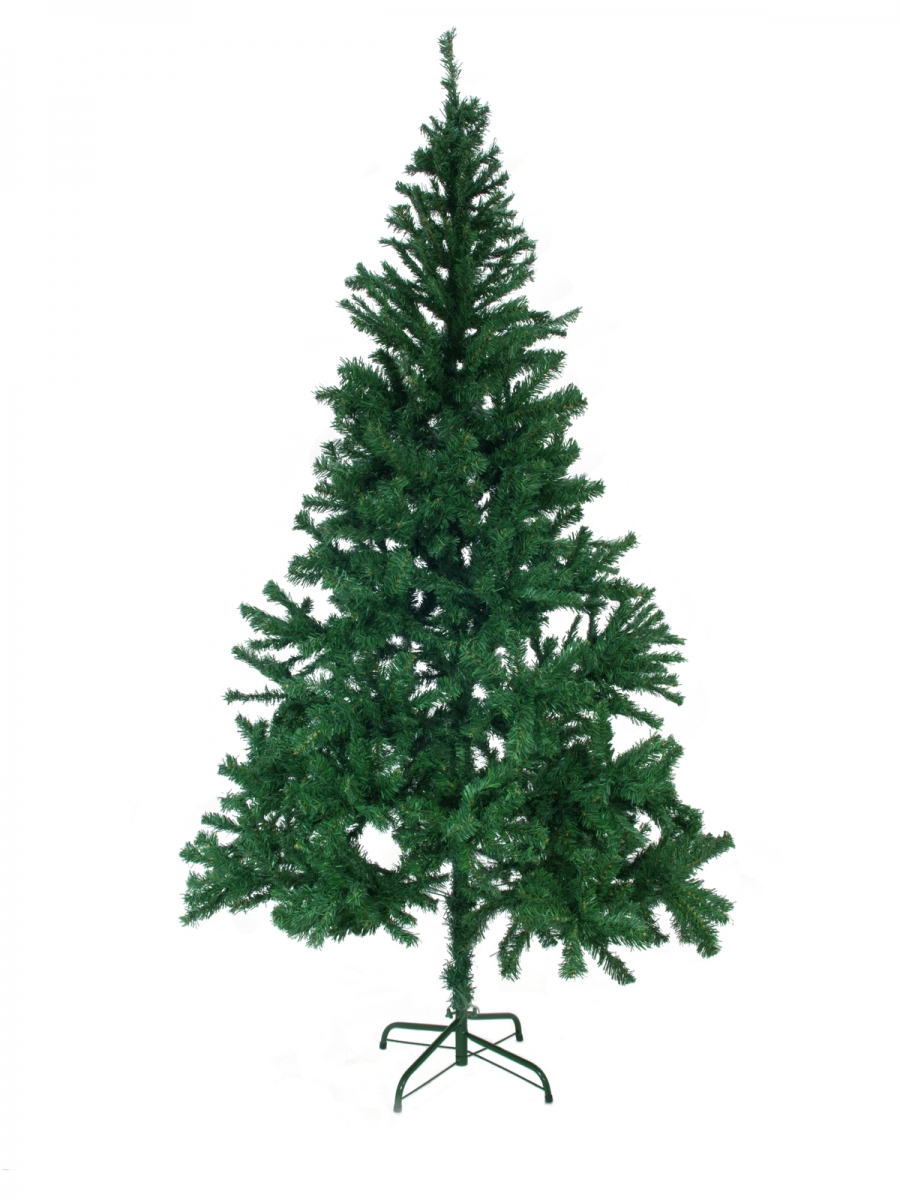 EUROPALMSFir tree, 240cmArticle-No: 83500108