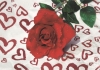 SÜ-VerlagKarte Allgemein Motiv Midi Rote Rose auf Herzhintergrund 7,5 x 5,25cm 49-M020Artikel-Nr: 4022318219543