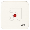 KleinSI-Wippe mit roter Kalotte K2520/TR12 Symbol Schlüssel