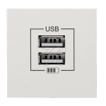 EFAPELModular-Einsatz USB-Ladegerät 45x45 45439 SBR