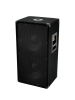 OMNITRONICBX-2250 Subwoofer 800WArticle-No: 11037745