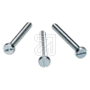EGBSlotted cylinder screws M3x25-Price for 100 pcs.Article-No: 196220