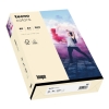 InapaCopy paper tecno colors A4 80g 500 sheets light chamois-Price for 500SheetArticle-No: 4011211076230