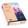InapaCopy paper tecno colors A4 80g 500 sheets salmon-Price for 500SheetArticle-No: 4011211076704