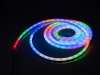EUROLITELED Pixel Neon Flex 12V RGB 5m with IR Set