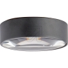 CMDLED wall and ceiling light anthracite IP65 9038